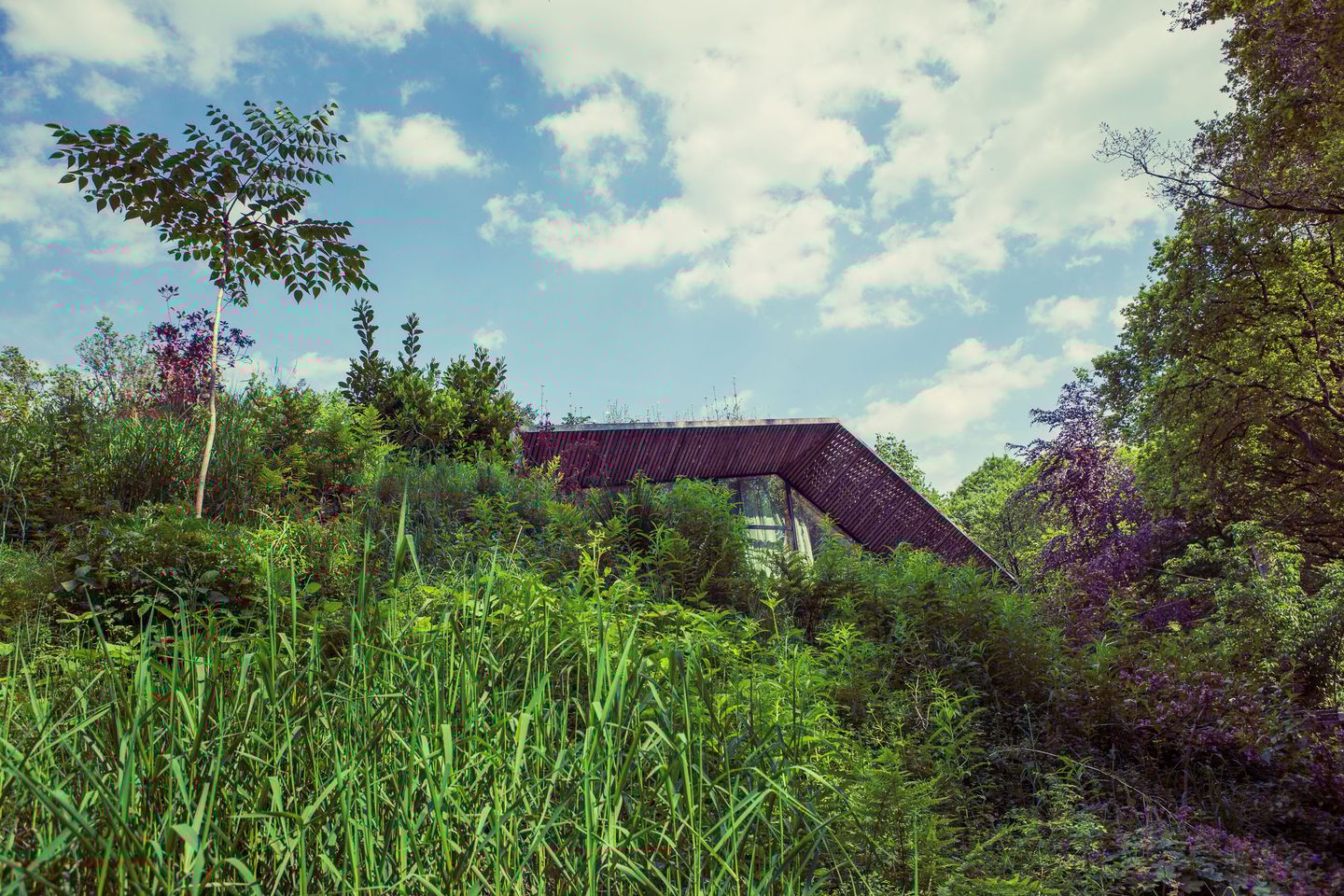 View photo 6 of IJzeren Veldweg 3