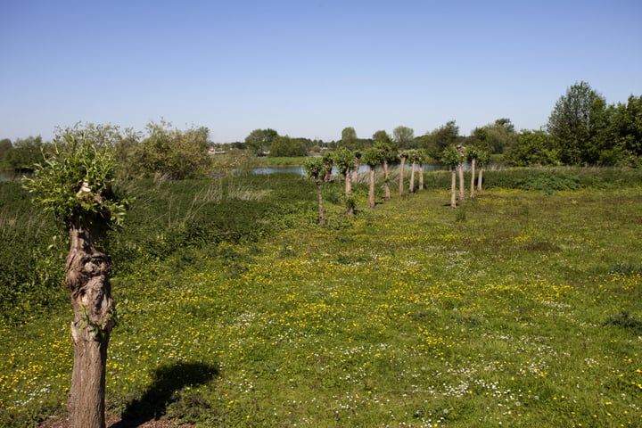 View photo 9 of Roerdelta (in voorbereiding)