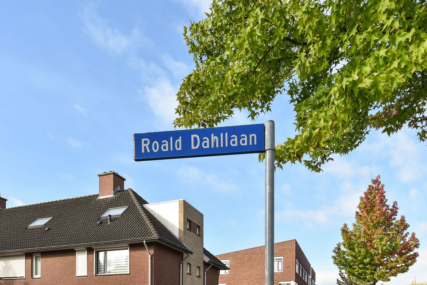 Photo 16 of Blixembosch II / Engelse wijk