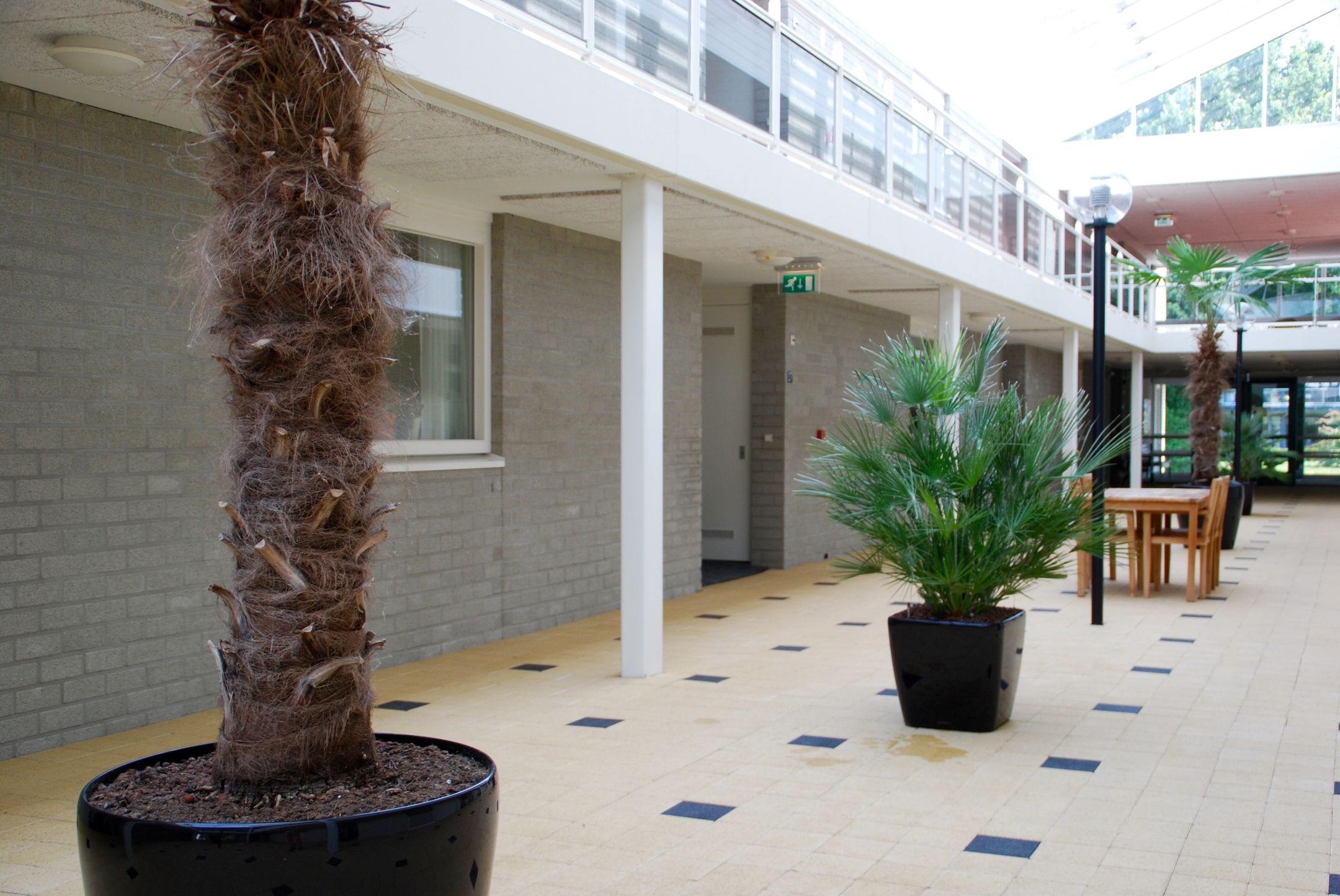 Photo 4 of De Vree 2-21