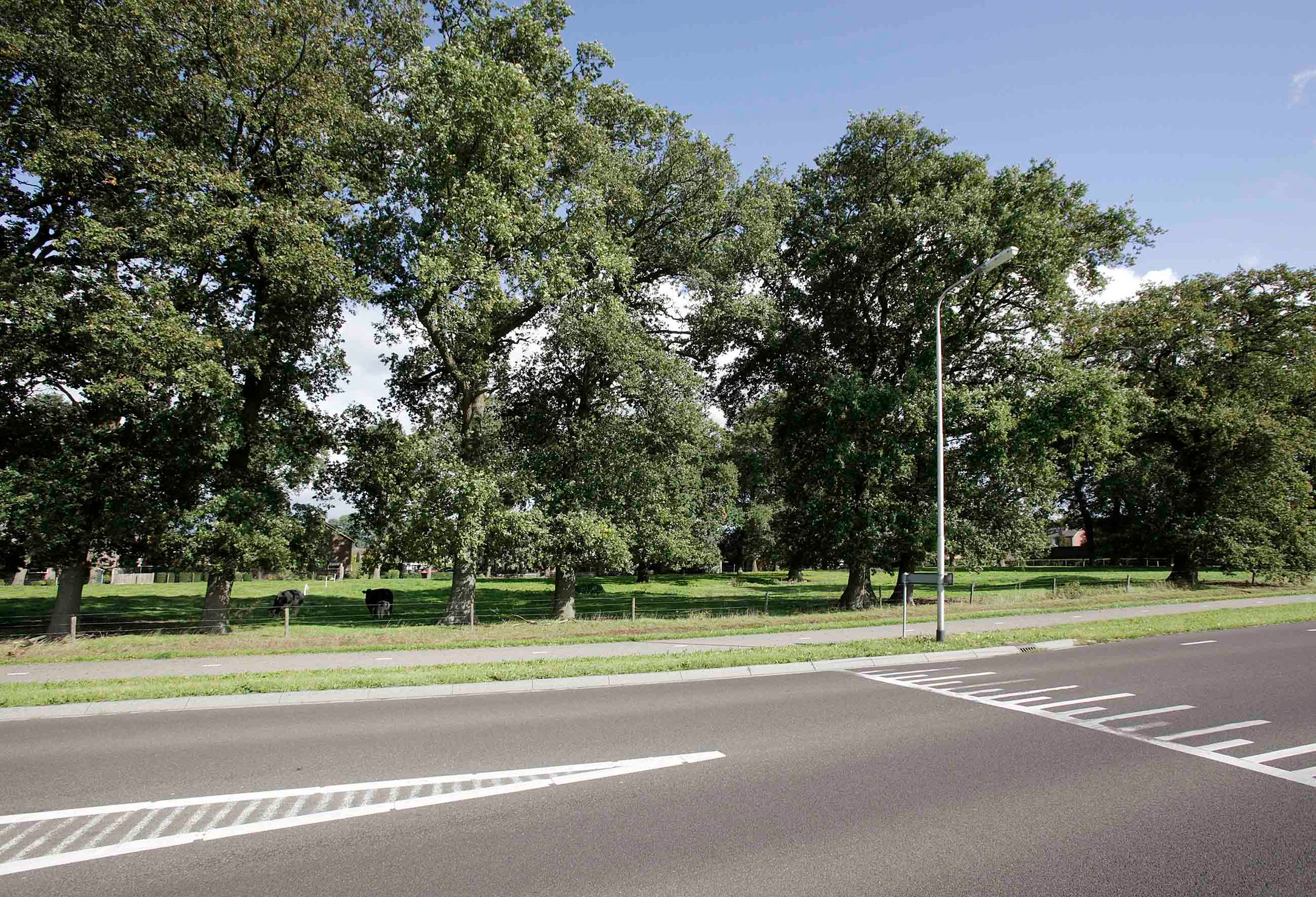 Foto 3 van Witmanweg