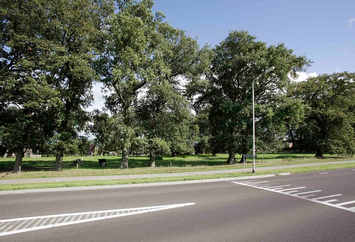 Foto 3 van Witmanweg