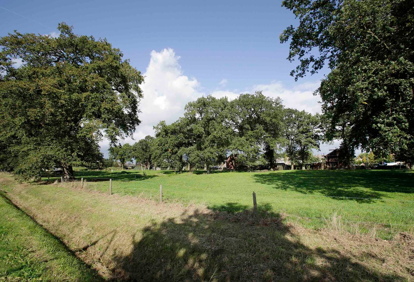 Foto 4 van Witmanweg