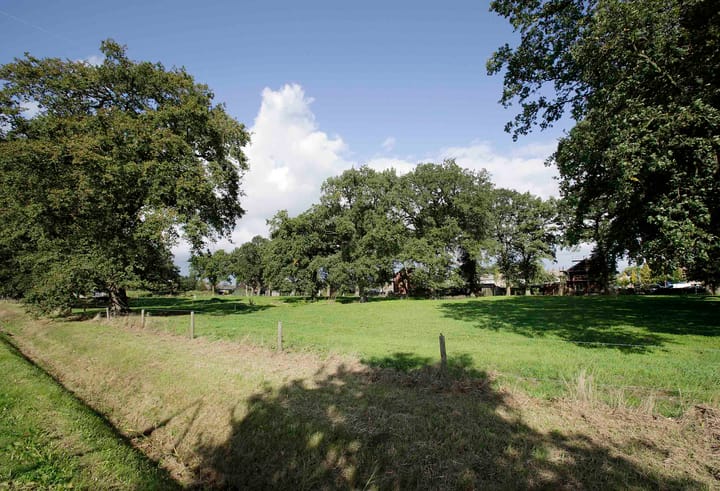 Foto 4 van Witmanweg