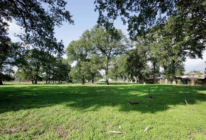 Foto 5 van Witmanweg