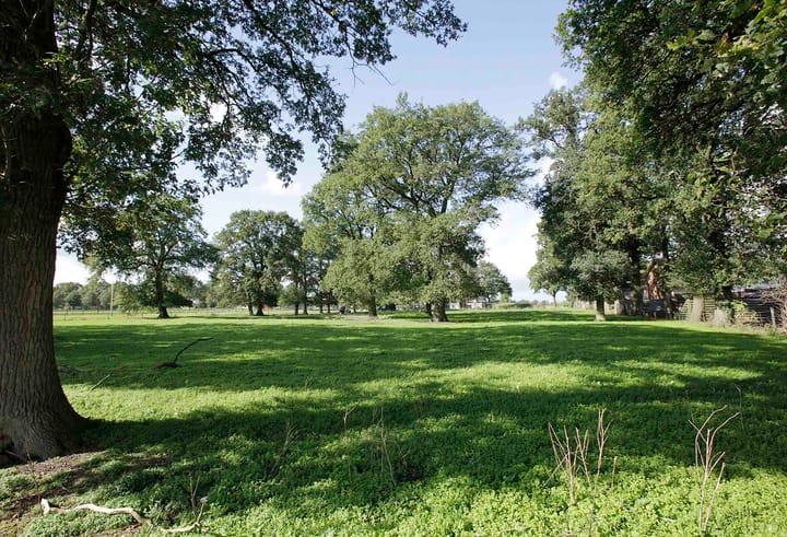 Foto 6 van Witmanweg