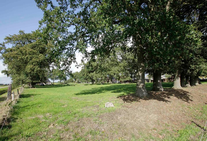 Foto 7 van Witmanweg