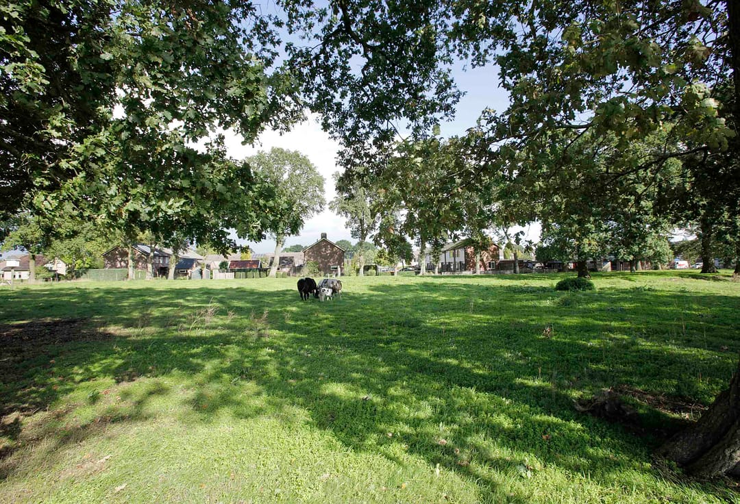 Foto 8 van Witmanweg