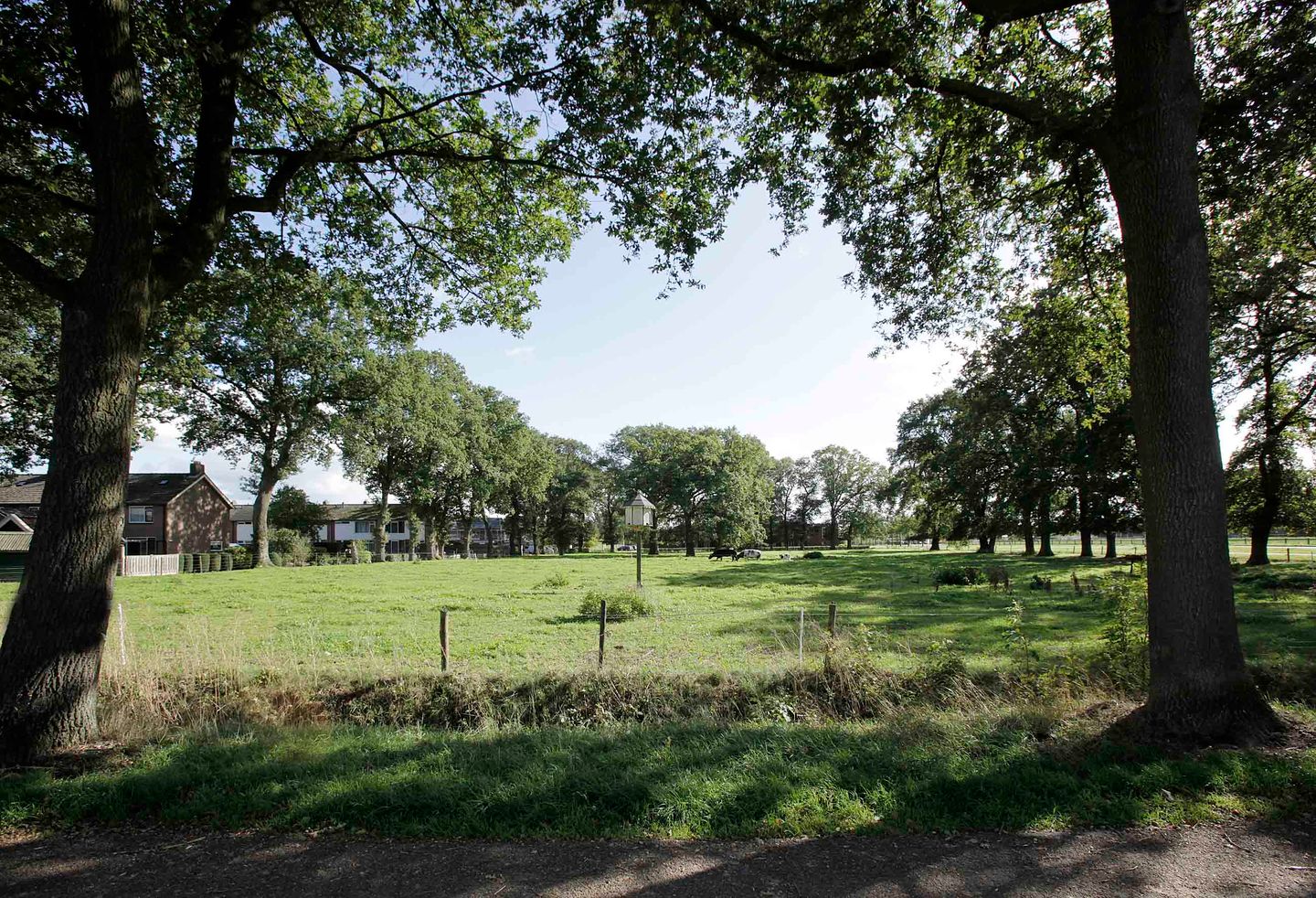 Foto 10 van Witmanweg