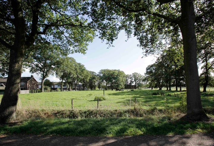 Foto 10 van Witmanweg