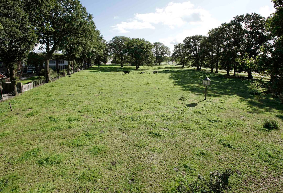 Foto 11 van Witmanweg