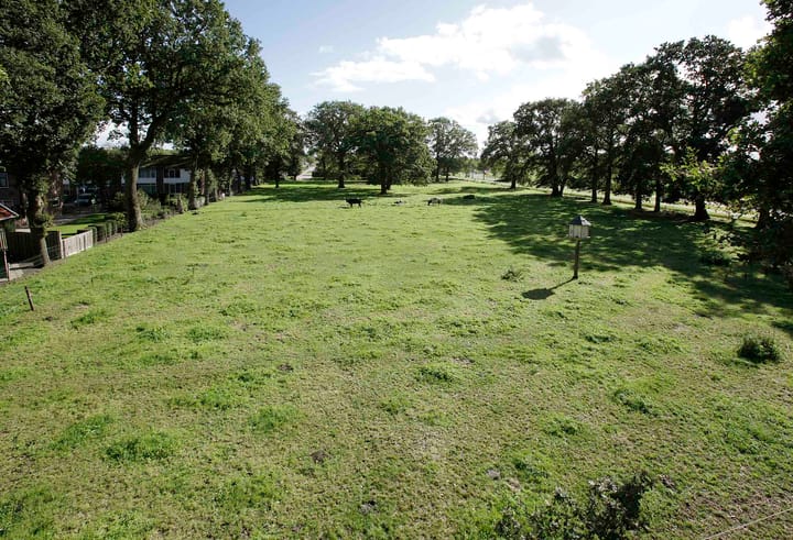 Foto 11 van Witmanweg