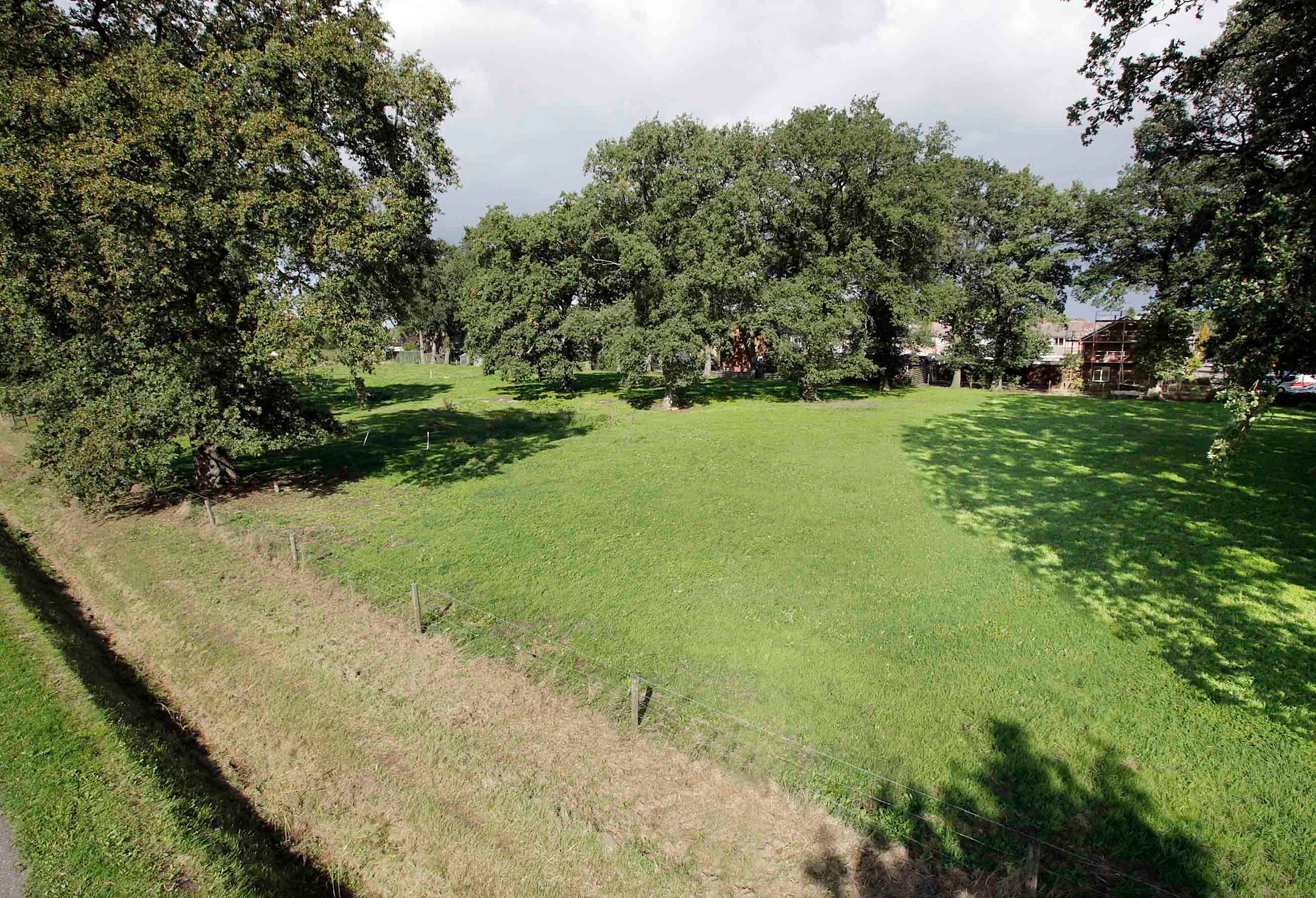 Foto 12 van Witmanweg