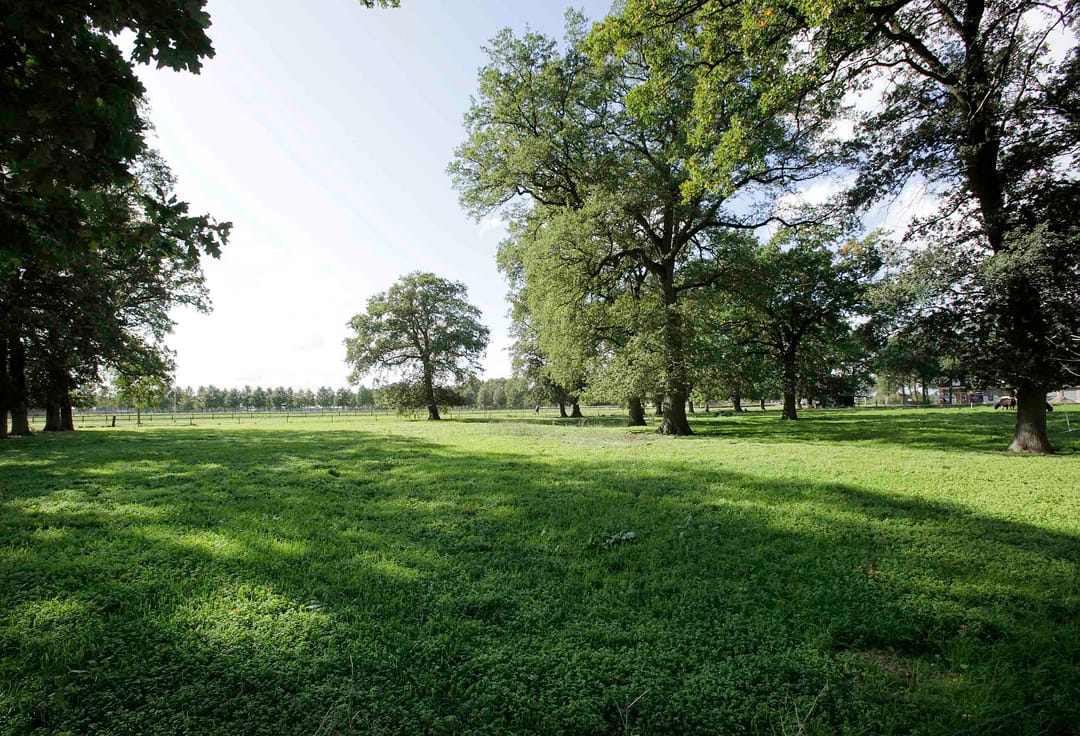 Foto 13 van Witmanweg