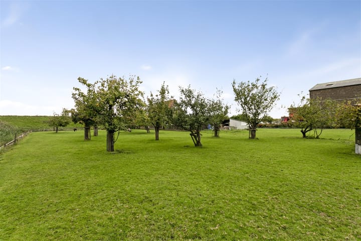 Foto 12 van Noordeinde 99-*