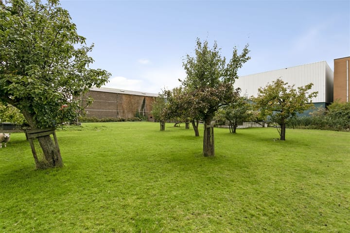 Foto 14 van Noordeinde 99-*