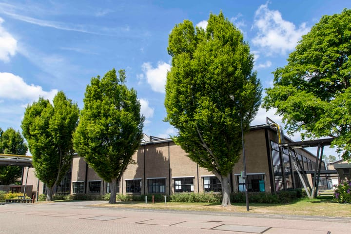 Jan Campertstraat 11