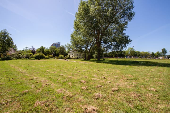 Foto 53 van Delftweg 50