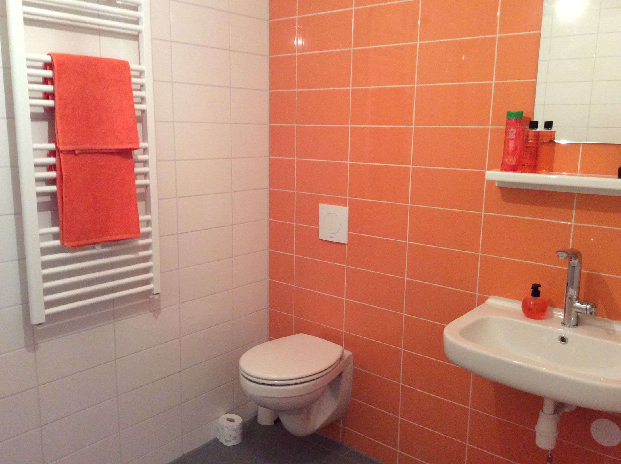 Photo 13 of Hoeverstaete (De Vleugels)