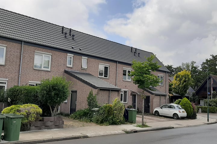 Soest, Turfstreek, Zonnedauw, Wollegras, Lisdodde - Type A