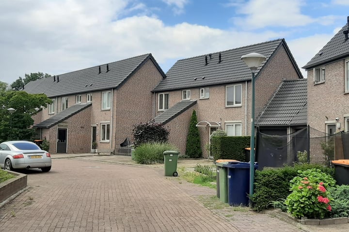 Soest, Turfstreek, Zonnedauw, Wollegras, Lisdodde - Type B