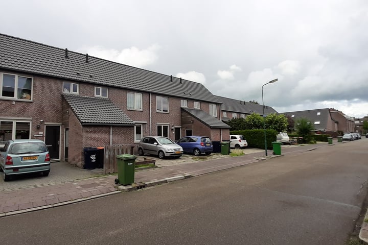 Soest, Turfstreek, Zonnedauw, Wollegras, Lisdodde - Type C