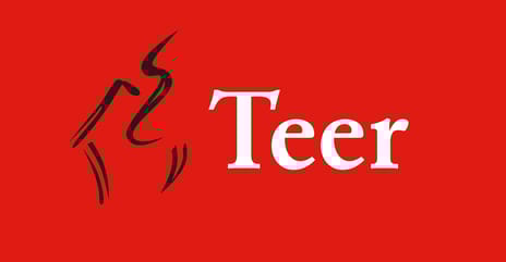Teer Makelaars Castricum B.V. makelaar-logo