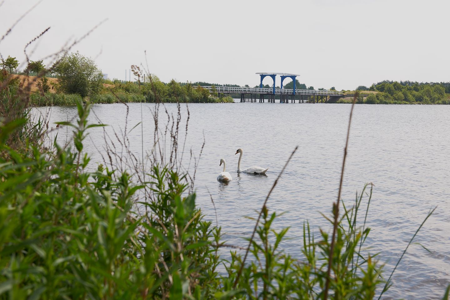 Photo 16 of Maasresidence Thorn