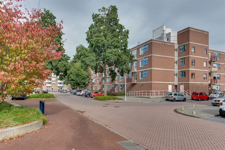 Bekijk foto 3 van Schooldwarsstraat 3