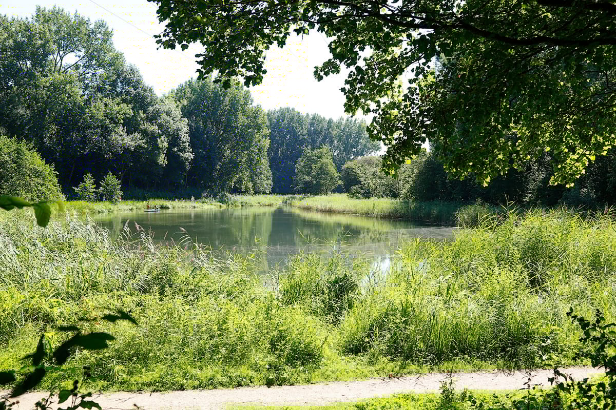 Photo 14 of De Tourmalijn