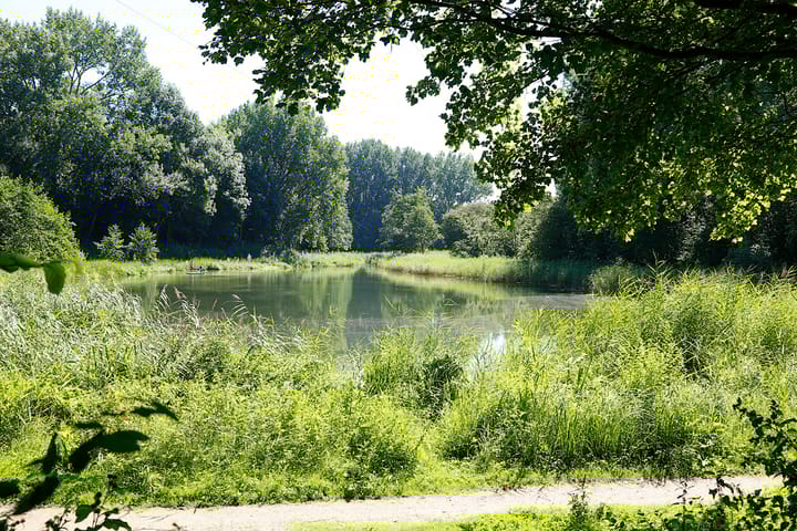 Foto 16 van De Tourmalijn