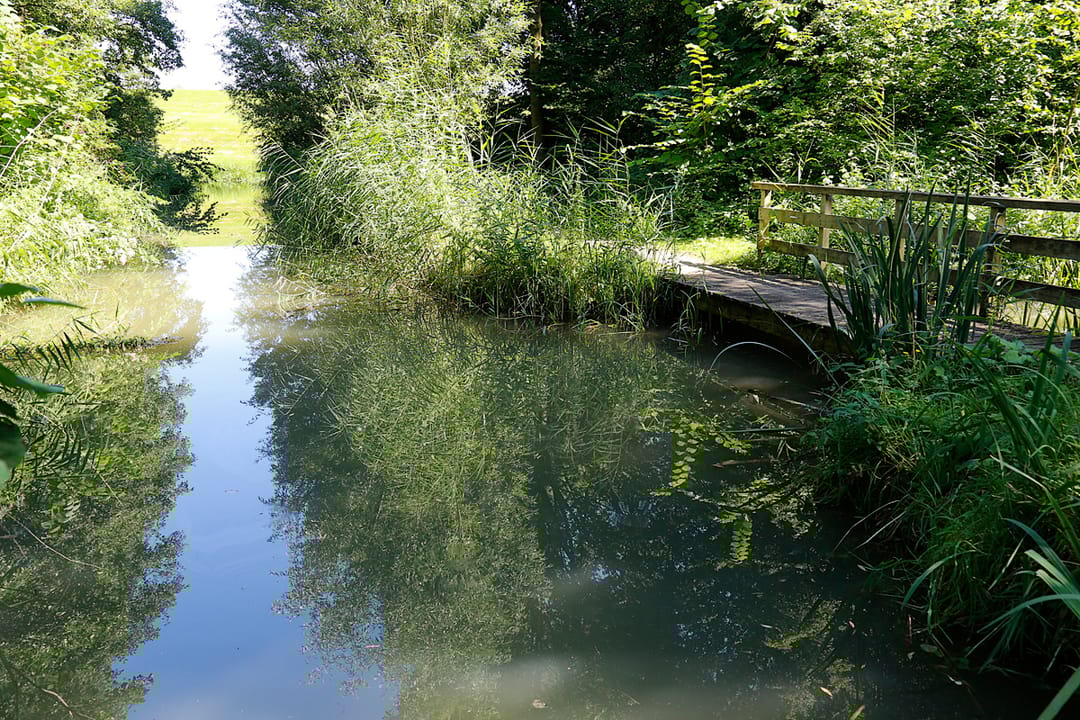 Photo 15 of De Tourmalijn