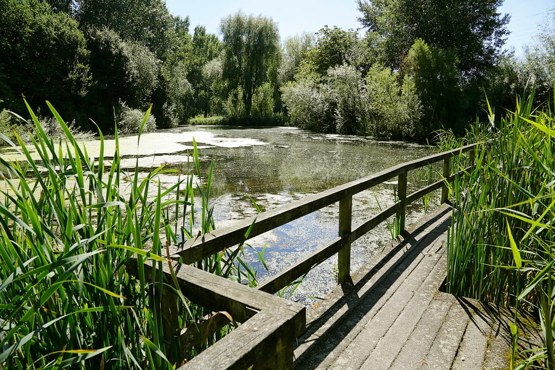 Photo 16 of De Tourmalijn