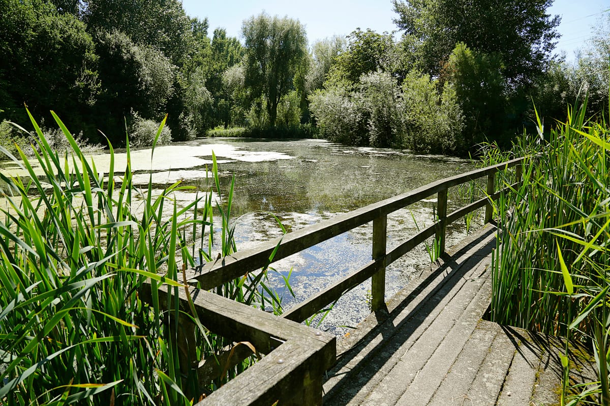 Photo 16 of De Tourmalijn