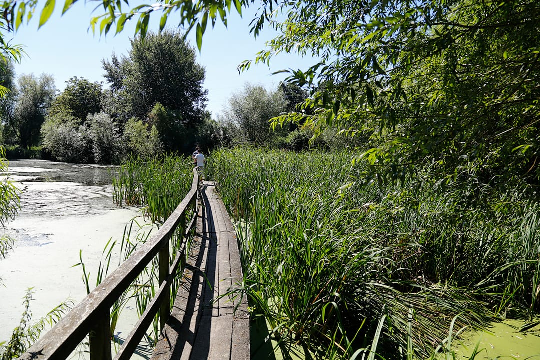 Photo 17 of De Tourmalijn