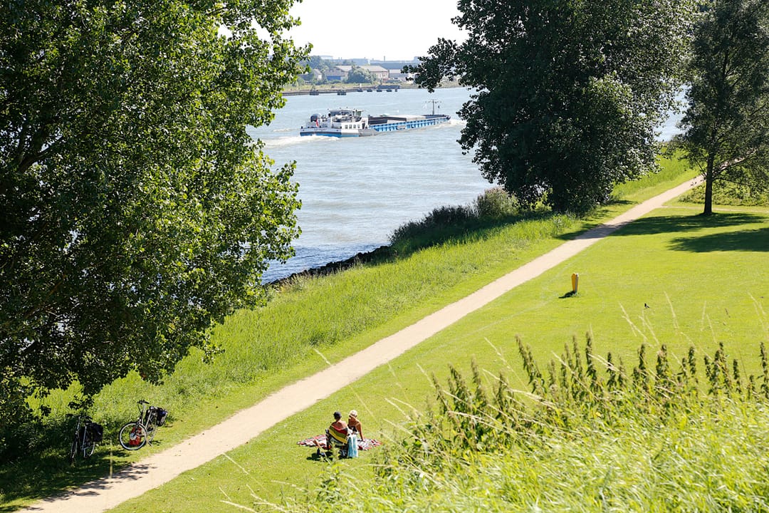 Photo 18 of De Tourmalijn