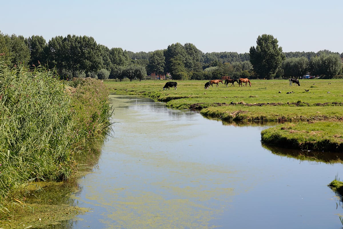 Photo 20 of De Tourmalijn