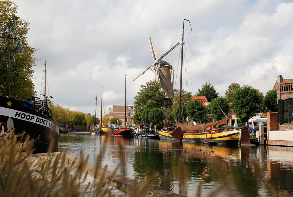 Photo 5 of Koningshof