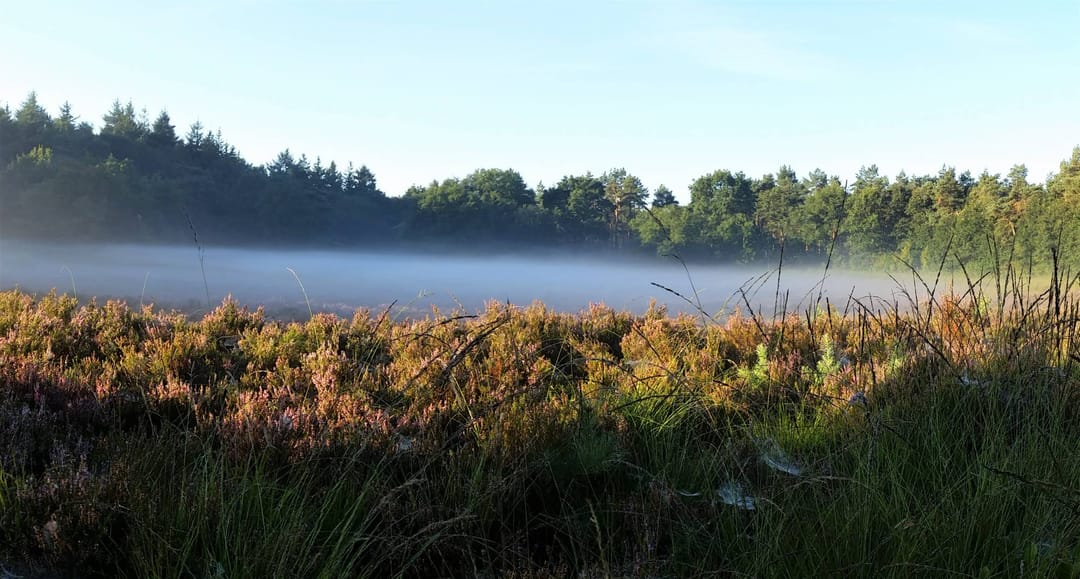 Foto 62 van Oranjekanaal NZ 10-0031