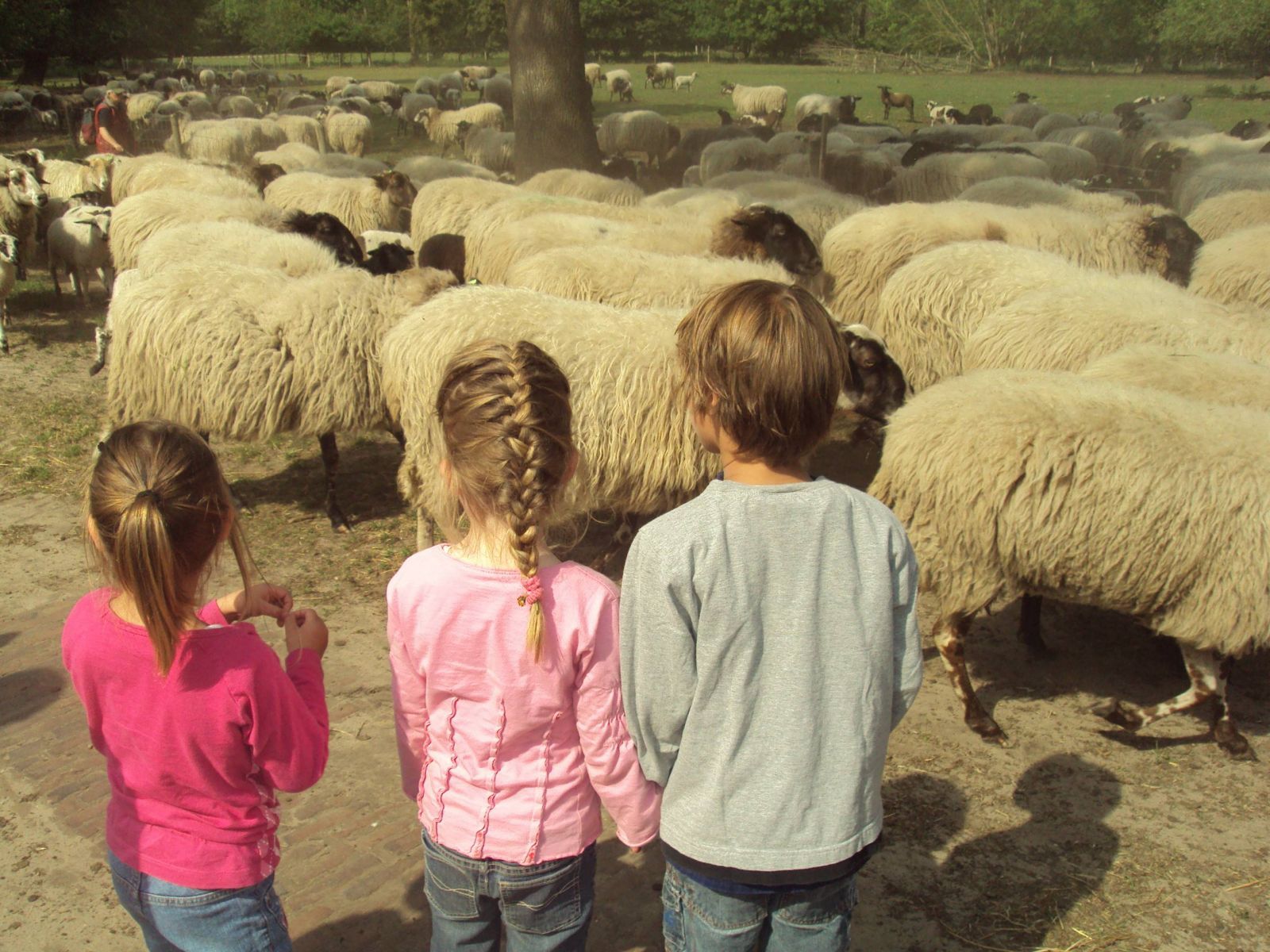 Foto 51 van Oranjekanaal NZ 10-0031