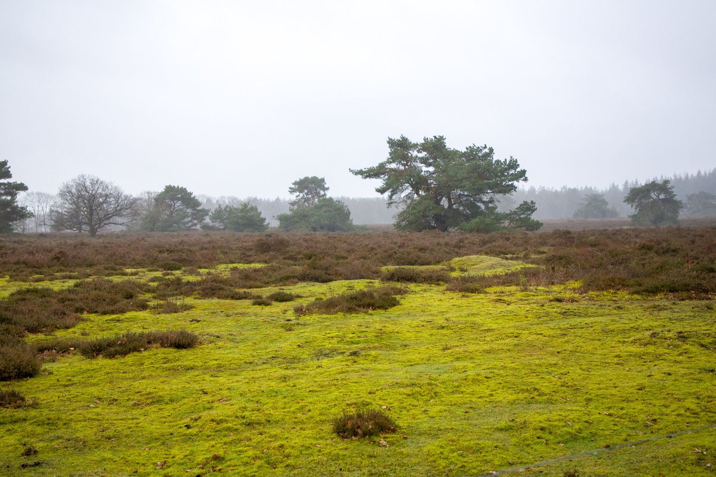 Foto 59 van Oranjekanaal NZ 10-0031