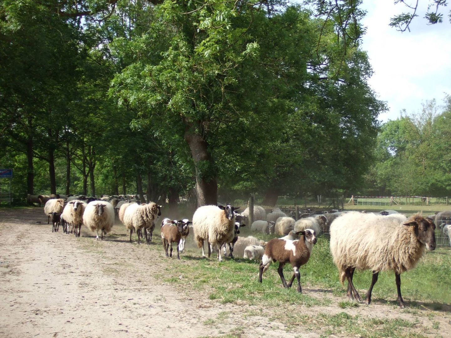 Foto 50 van Oranjekanaal NZ 10-0031