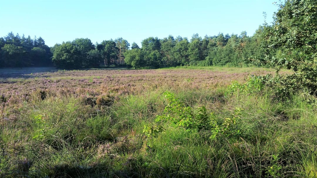 Foto 61 van Oranjekanaal NZ 10-0031