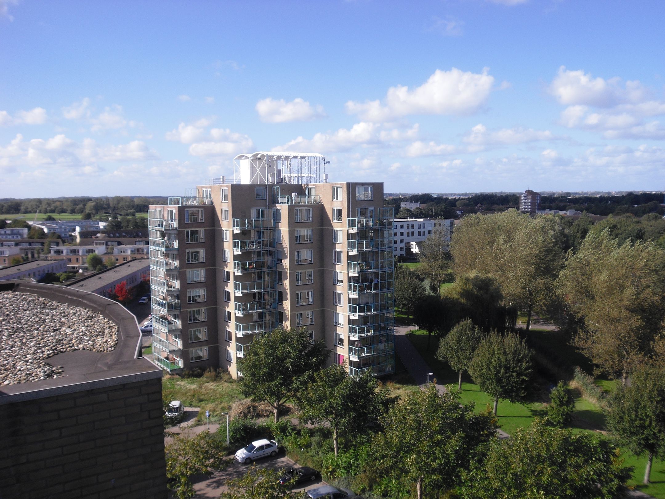Foto van De vink - Zuster Meiboomstraat