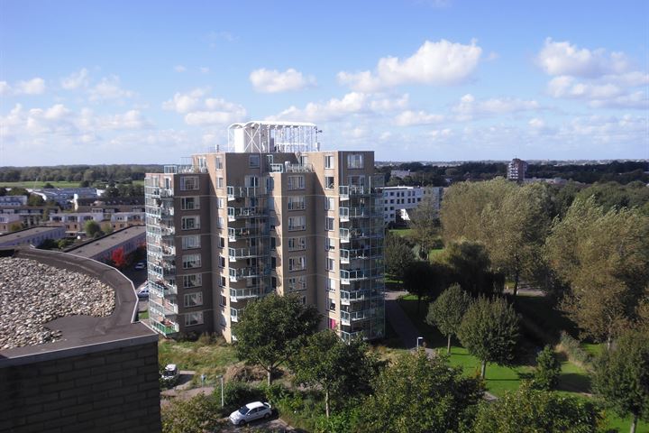 Bekijk foto 1 van De vink - Zuster Meiboomstraat