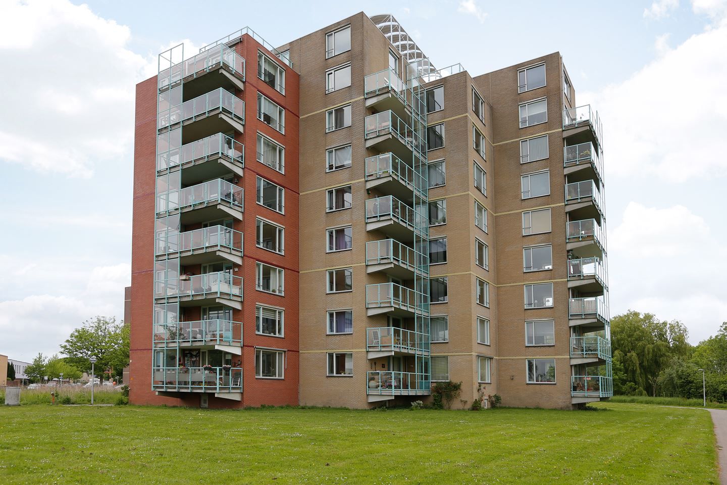 Photo 2 of De vink - Zuster Meiboomstraat