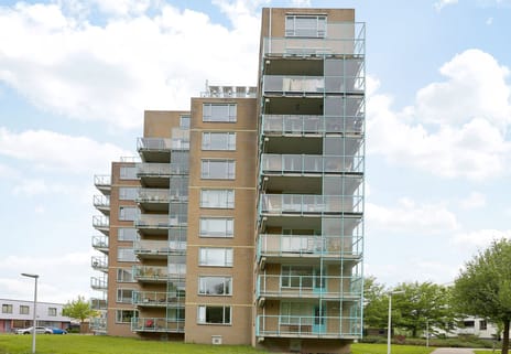 Photo 3 of De vink - Zuster Meiboomstraat