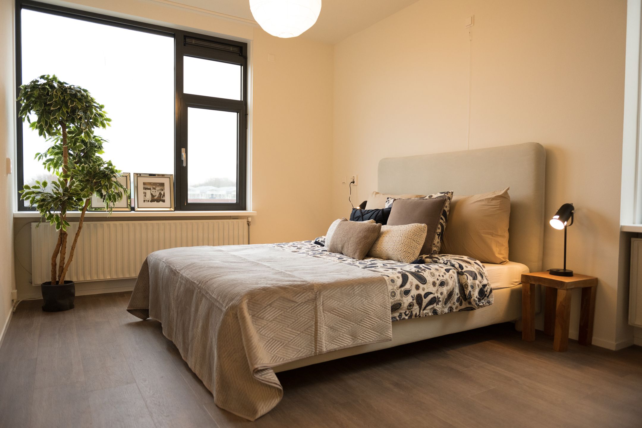 Foto 5 van De Amerrank