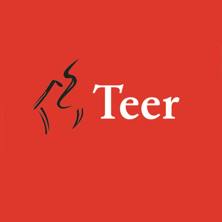 Teer Dijk en Waard logo