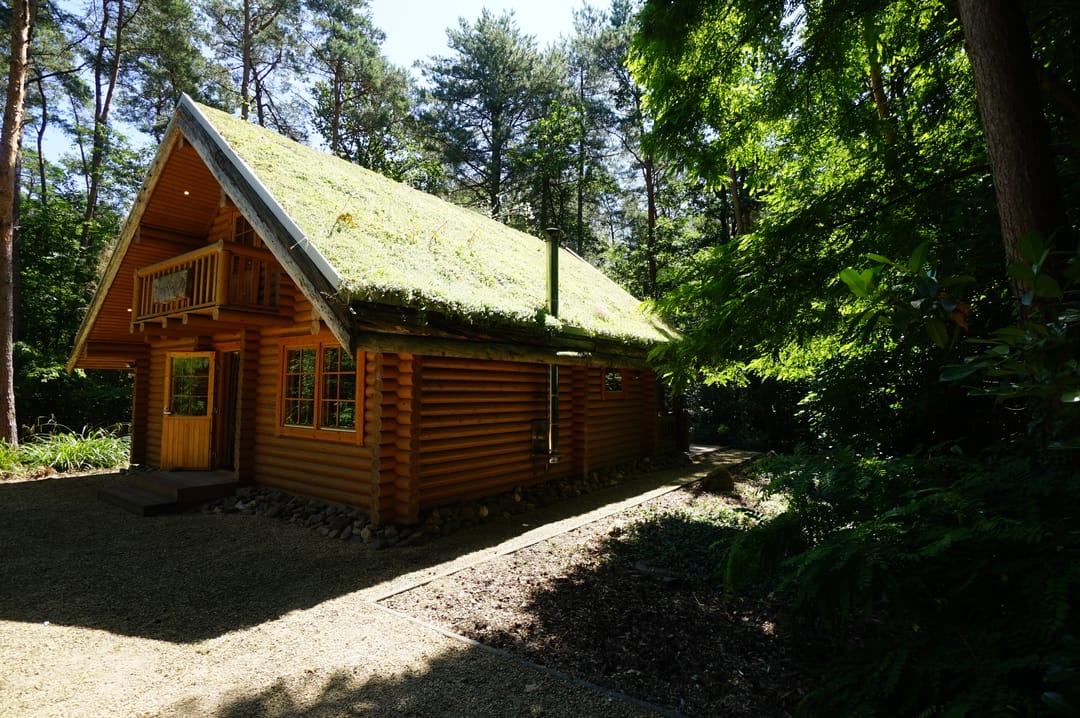 Photo 1 of Grote Hees, 7e kavel